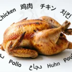 Chicken in Different Languages