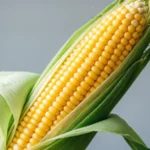 Corn in Different Languages